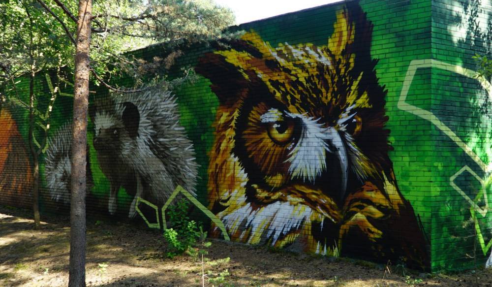Приморский парк в Сосновом Бору украсили граффити с животными — фото