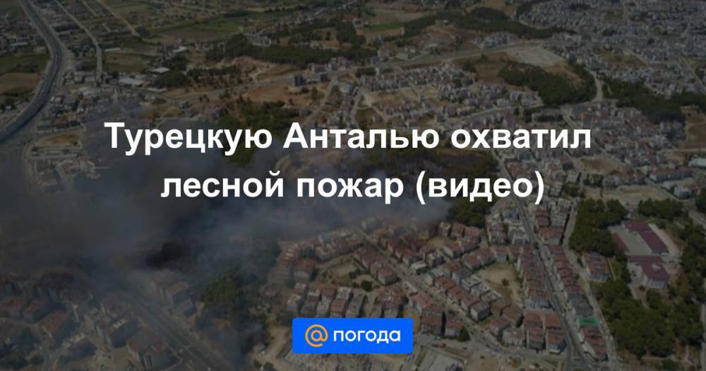 Турецкую Анталью охватил лесной пожар (видео)