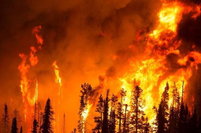 В турецкой Анталье лесной пожар перекинулся на город Манавгат