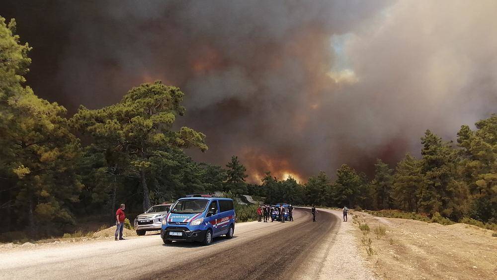 Лесной пожар в провинции Анталья