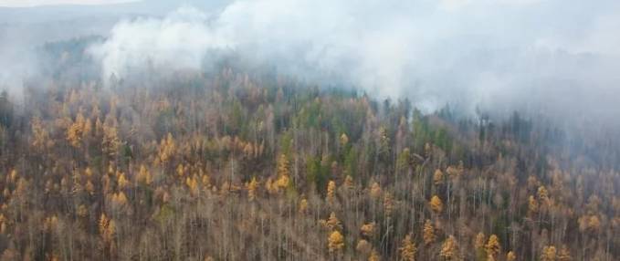 Дым действующих лесных пожаров Якутии накрыл Иркутск