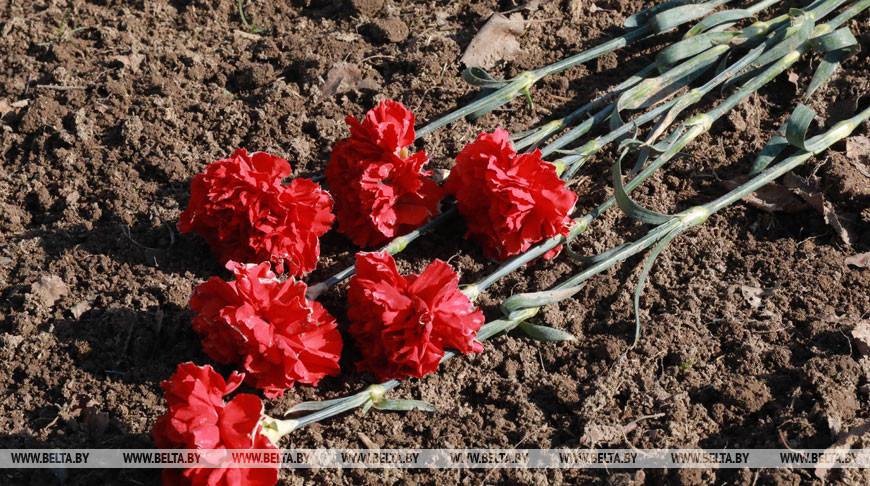 Останки шести красноармейцев обнаружены в Слонимском районе