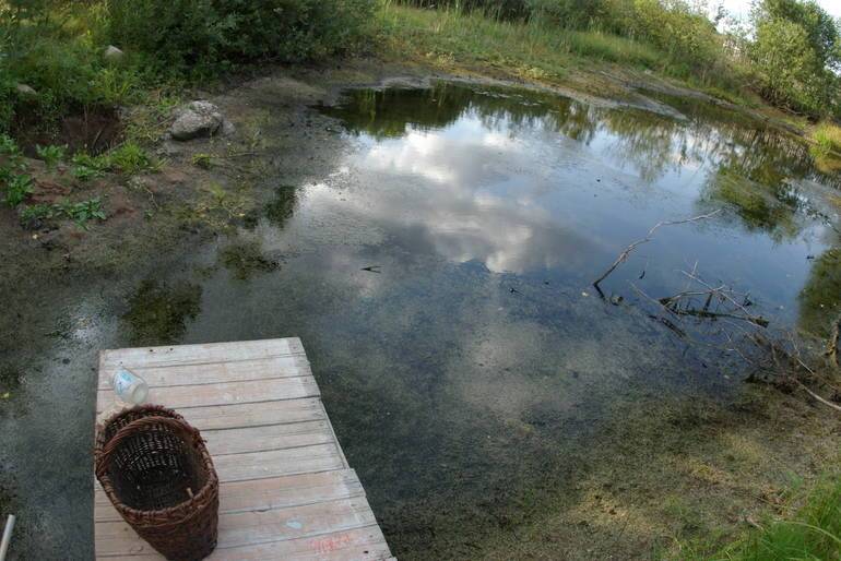 Петербургский Роспотребнадзор разрешил горожанам купаться в Суздальском озере