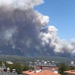 Из-за лесных пожаров в Анталии погибли три человека