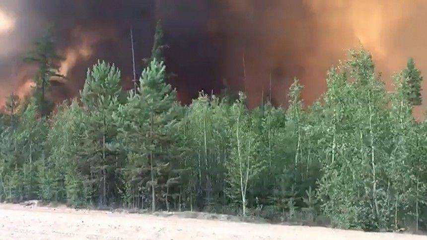 С помощью взрывов спасатели Якутии борются с лесными пожарами