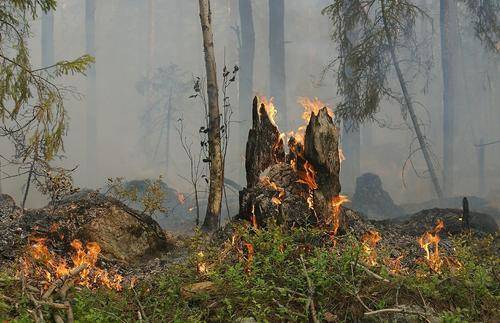 Российские самолеты Бе-200 задействованы в тушении лесных пожаров на юге Турции