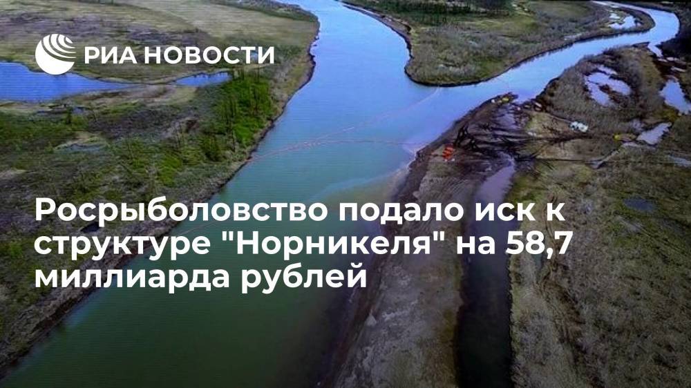 Росрыболовство подало иск к структуре "Норникеля" из-за ущерба для рыбы на 59 миллиарда рублей