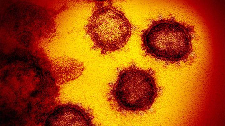 Ученые: "лямбда" не только заразна, но и устойчива к иммунитету