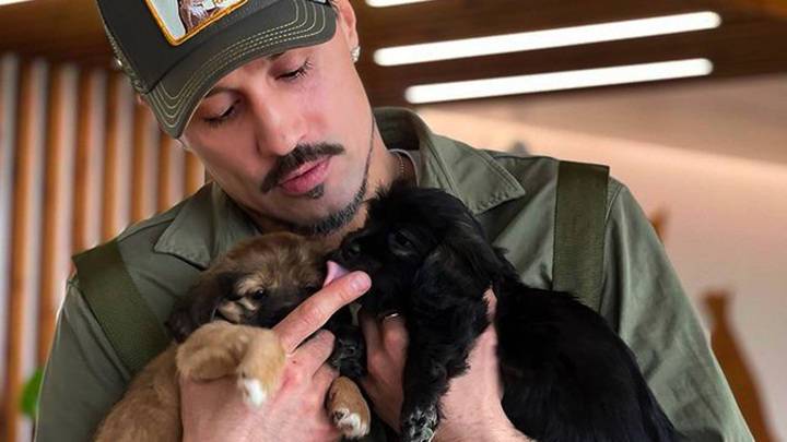 Дима Билан стал волонтером центра помощи больным животным