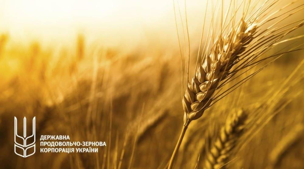 Новые обыски в ГПЗКУ: ГБР расследует возможные факты продажи зерна по заниженным ценам