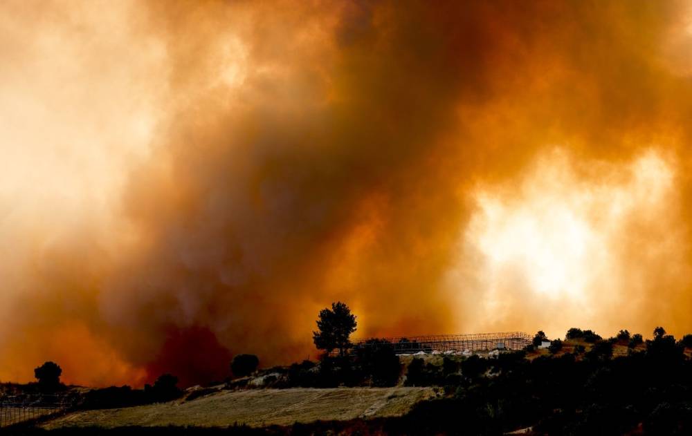 У Эрдогана лесные пожары в Турции назвали национальным бедствием