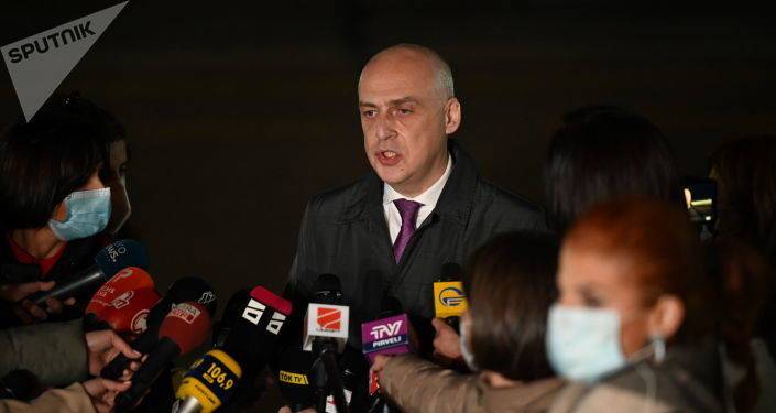 Как грузинские власти ответят на критику Запада: мнение главы МИД Грузии
