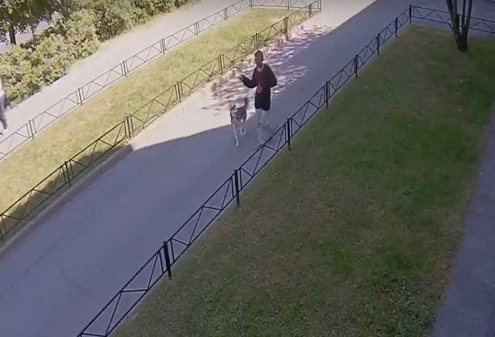 Неизвестный мужчина со странной походкой «угнал» собаку в Калининском районе Петербурга