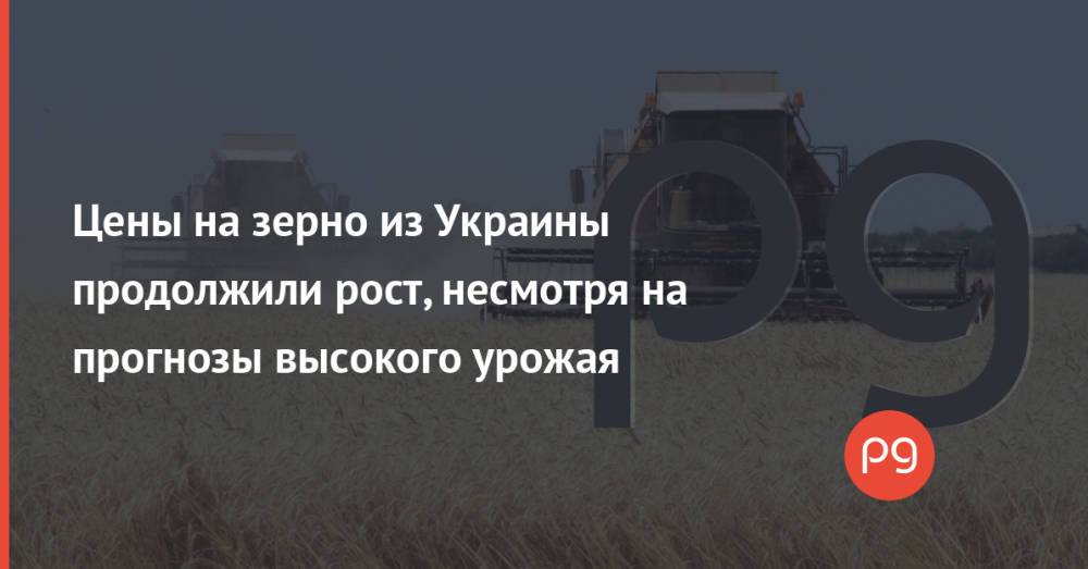 Цены на зерно из Украины продолжили рост, несмотря на прогнозы высокого урожая