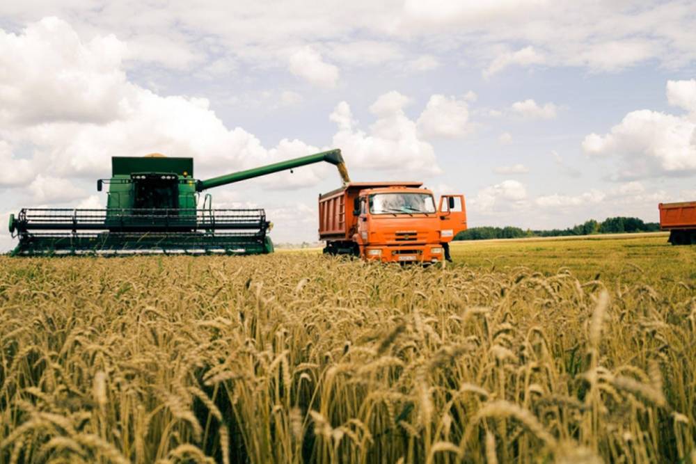 В Чеченской республике опережают график уборки зерновых