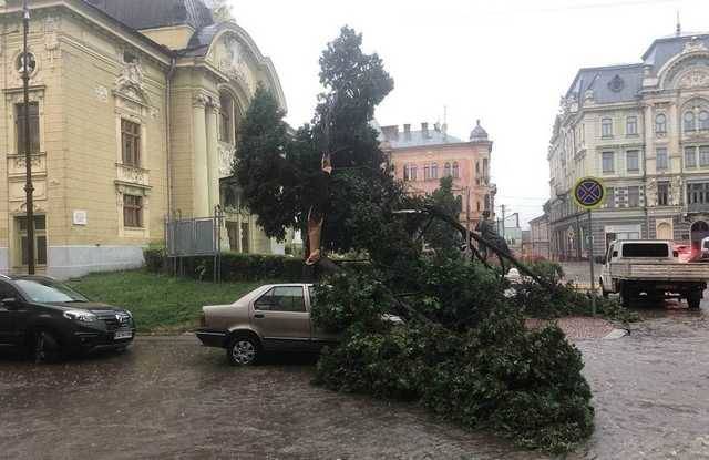 Ливень в Черновцах: авто под упавшими деревьями, улицы затоплены