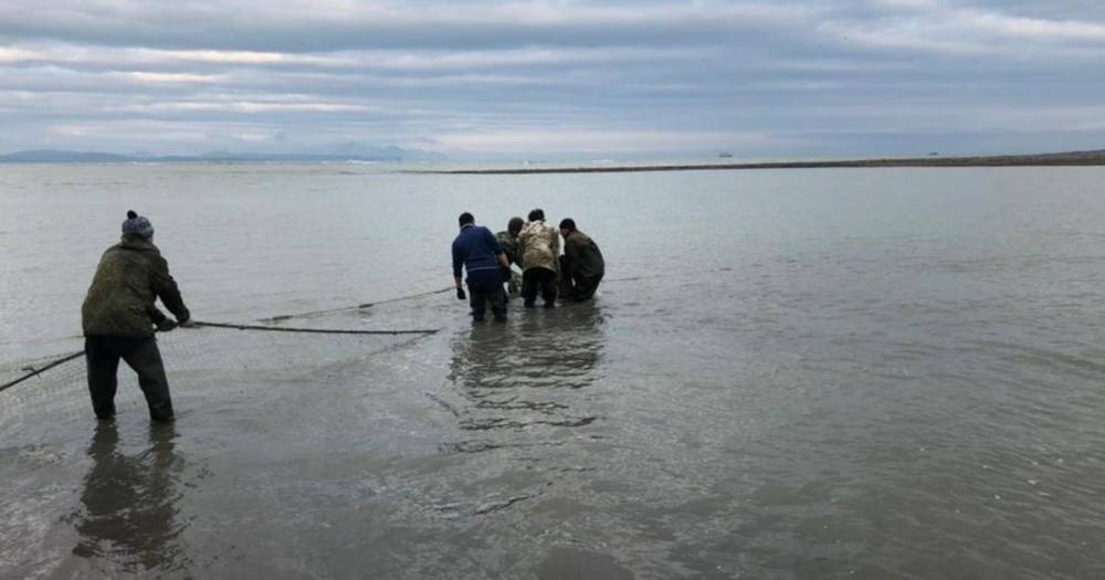 Прокуратура Камчатки установила обстоятельства гибели детей на реке