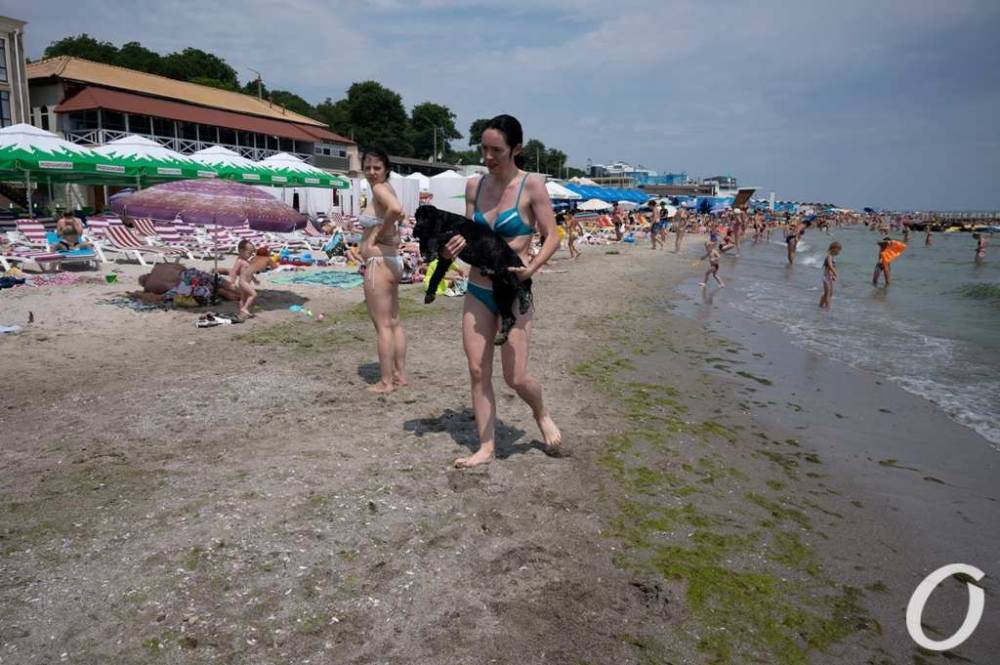 Температура морской воды в Одессе 30 июля: море теплое, но стоит ли купаться?
