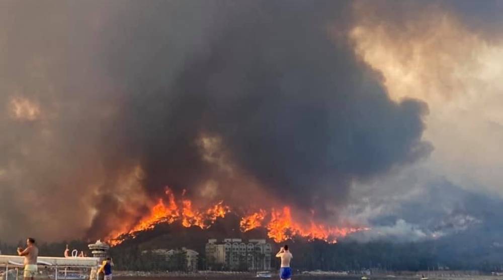 Лесные пожары в Турции: пострадали 183 человека, еще 4 погибли