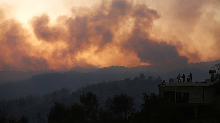 В Турции локализовали 42 из 63 очагов возгорания лесных пожаров