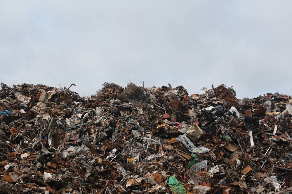 После жалобы губернатору Ленобласти в Отрадном очистили мусорные площадки