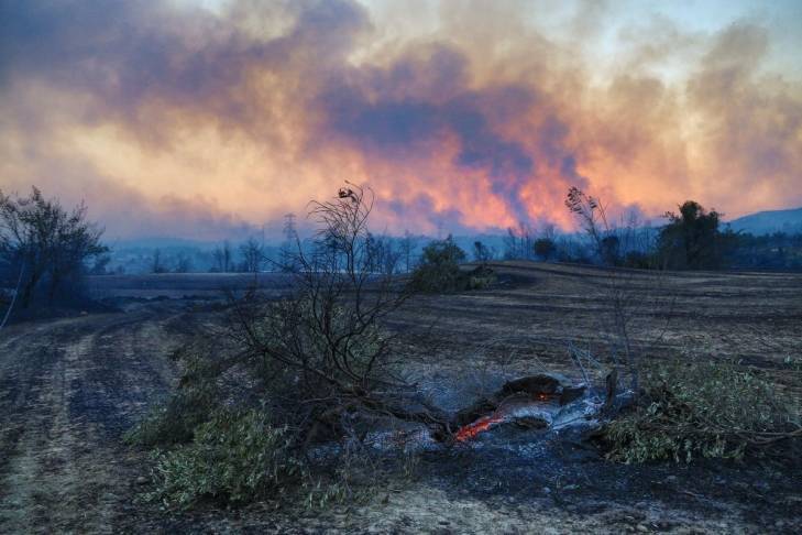 Масштабные лесные пожары в Турции: планируется ли эвакуация украинцев