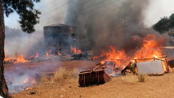 Шесть турецких провинций охвачены крупными пожарами: число жертв растëт