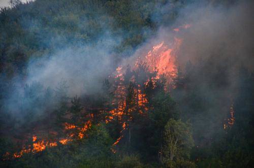 Россия и Украина прислали самолеты для борьбы с лесными пожарами в Турции