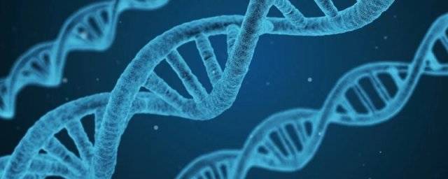 Ученые: ковид и его фрагменты в вакцинах не могут менять ДНК человека