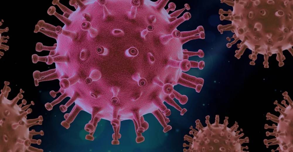 О вакцинации от коронавируса жителям региона расскажет чат-бот