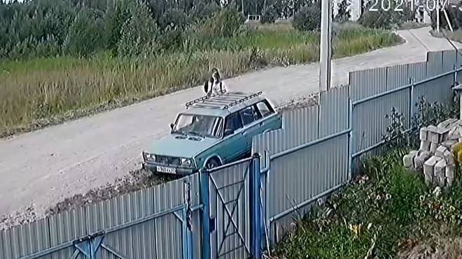 В Пикалево на камеру попали двое подростков, скрутивших колпачки с колес автомобиля — видео