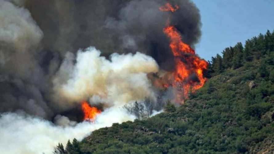 К расследованию пожаров в Турции привлекли разведку