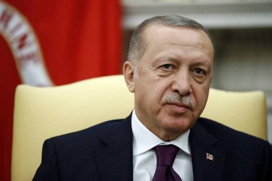 Эрдоган рассказал о борьбе с лесными пожарами в Турции