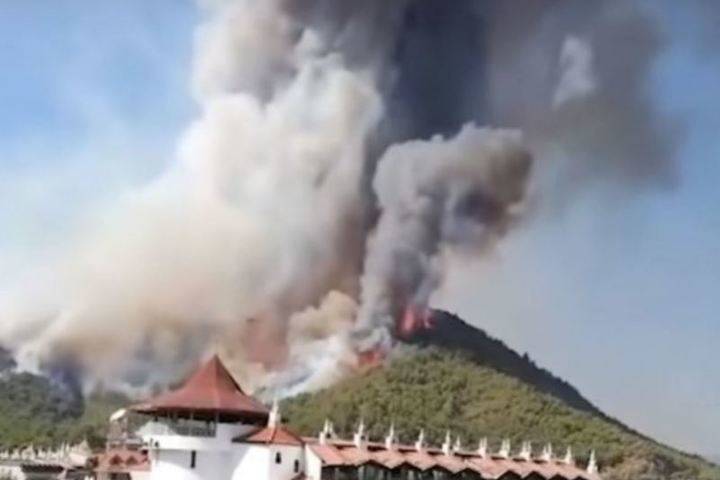 В Турции локализовали 70 из 81 очага лесных пожаров