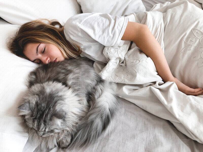 Почему кошка ложится на человека и спит на нём?