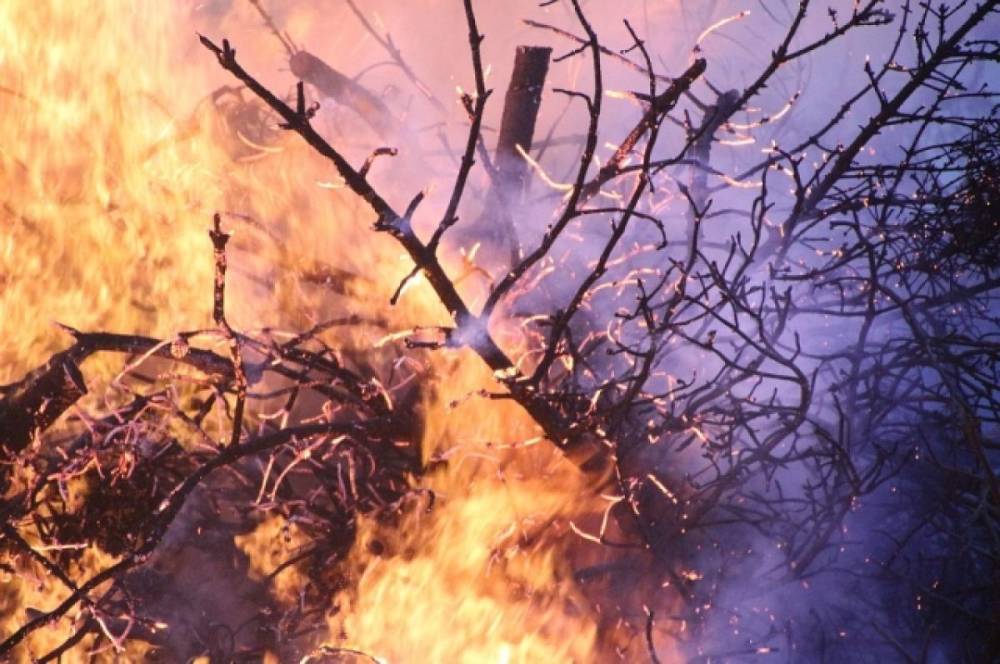 В Якутии за сутки ликвидировали семь природных пожаров