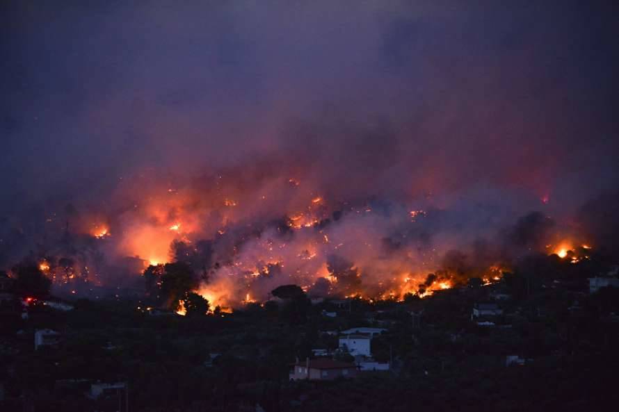 В Турции ликвидировали около 90% лесных пожаров