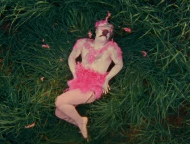 Публицист Евгений Понасенков снялся в клипе на ремейк песни «Розовый фламинго»