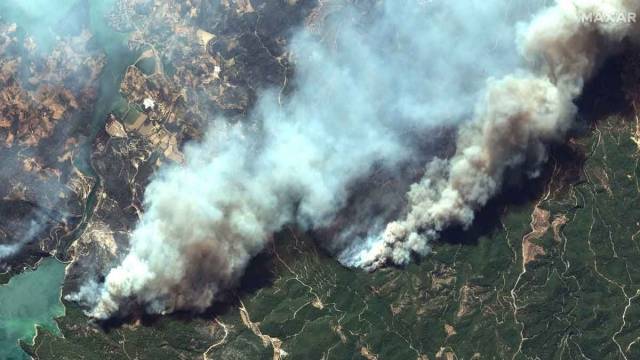 В Сети появились спутниковые снимки разрушений, вызванных лесными пожарами в Турции (ФОТО)