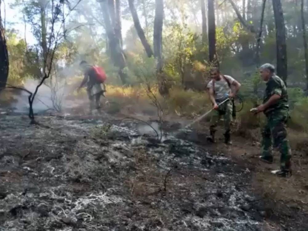 Сотрудники МЧС Азербайджана участвуют в тушении лесных пожаров в Турции (ВИДЕО)
