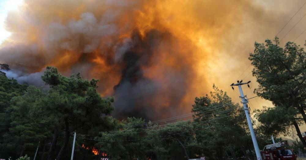 Пожары в Турции: Эрдоган объявил зоной бедствия часть туристического побережья (карта)