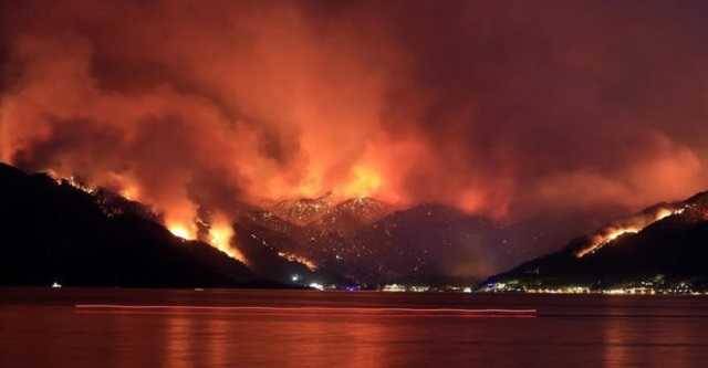 В Турции районы лесных пожаров объявили зонами бедствия