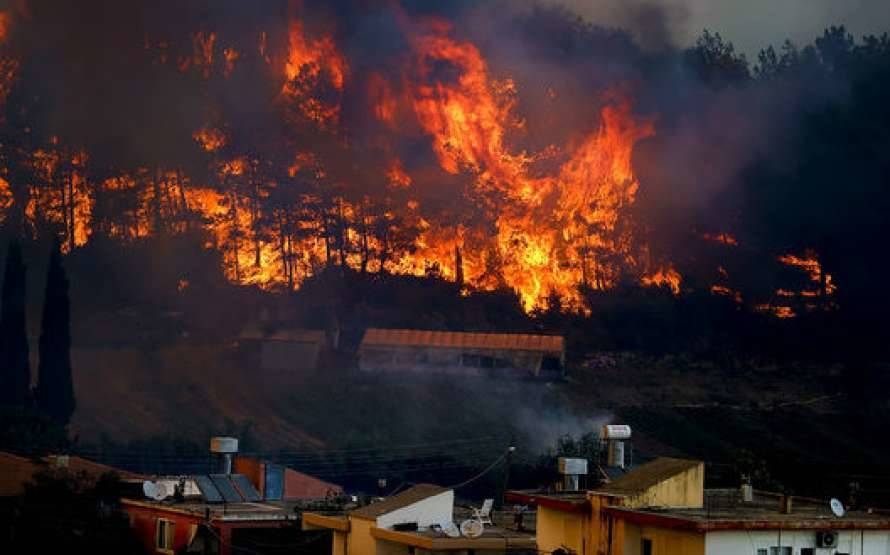 Районы лесных пожаров в Турции объявлены зоной бедствия