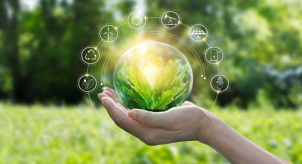 Узбекистан и Глобальный институт "зеленого" роста обсудили возможность внедрения технологий "зеленой" экономики