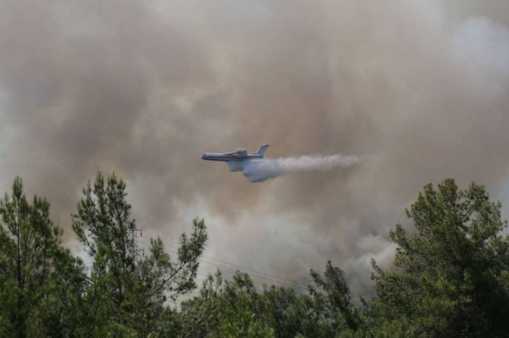 Россия отправит в Турцию самолеты и вертолеты для борьбы с пожарами