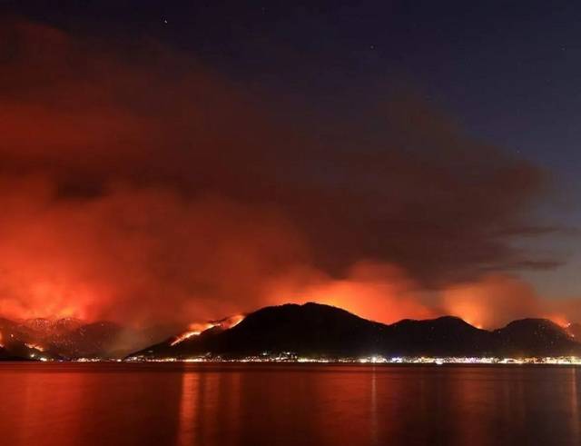 В Турции районы лесных пожаров объявили зонами бедствия: число погибших возросло