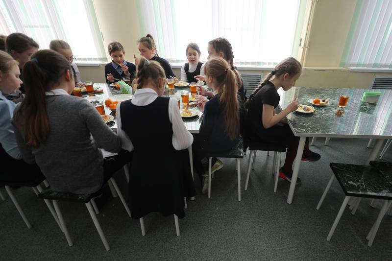 Качество школьного питания должны контролировать медработники - академик Румянцев