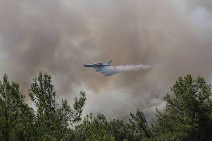 В Госдуме ответили критикам решения о помощи Турции в тушении лесных пожаров