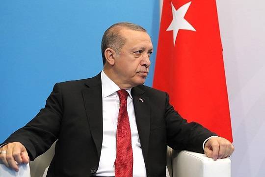 Эрдоган указал на возможную причину лесных пожаров в Турции