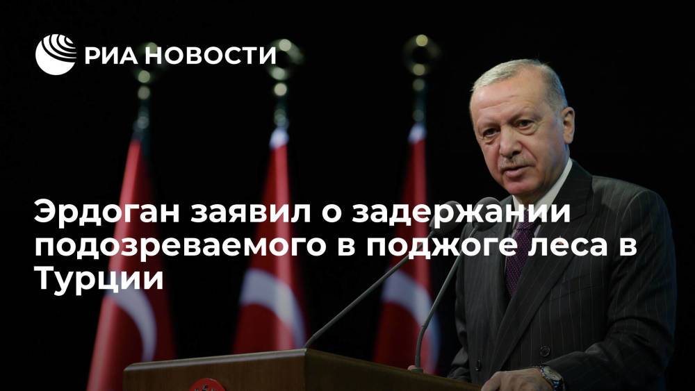 Президент Турции Эрдоган заявил о задержании подозреваемого в поджоге леса на юге страны